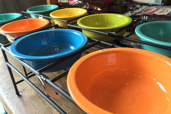 Fiestaware Dog Bowl