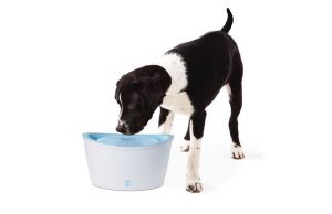 1. Dogit Design Fresh and Clear Dog Drinking Fountain