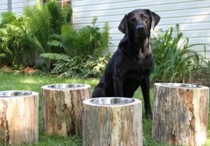 29. Indestructible Dog Water Bowl