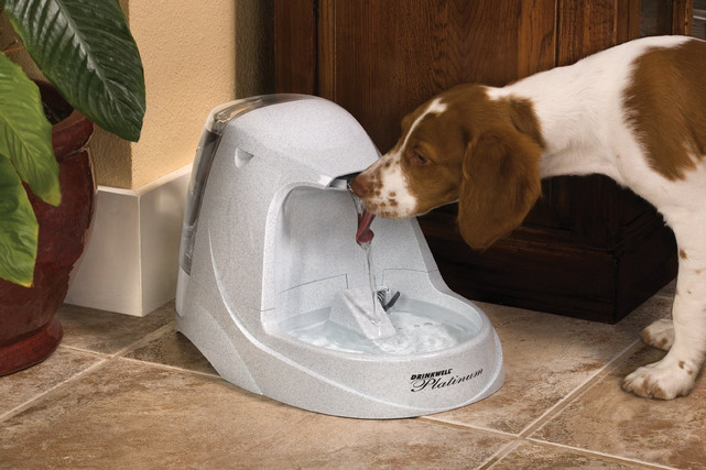 3. PetSafe Drinkwell Platinum Pet Fountain