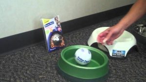 Bowls To Help Dogs Eat Slower