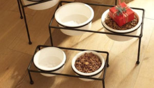 Elevated Dog Feeders With Ceramic Bowls