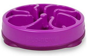 Outward Hound Fun Feeder Slow Feed