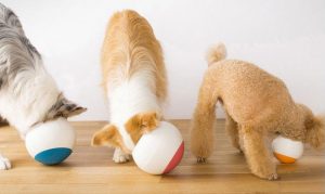 dog bowls to slow down eating