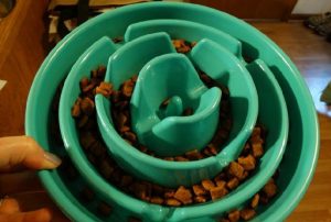 dog food bowls that slow down eating