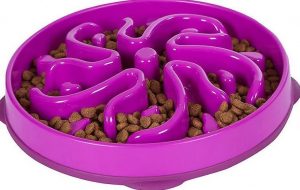 dog food bowls to slow down eating