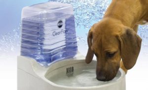 dog water bowl with reservoir