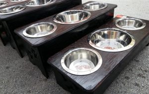 three bowl dog feeder