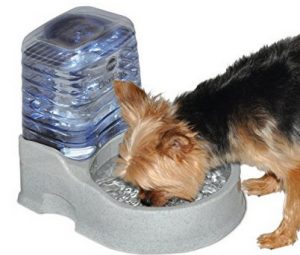 CleanFlow Filtered Water Bowl