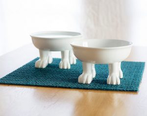 Elevated Ceramic Dog Bowls