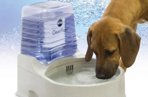 Filtered Water Bowl For Dogs