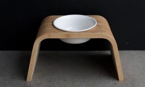 Most Jaw-Dropping Modern Elevated Dog Bowls