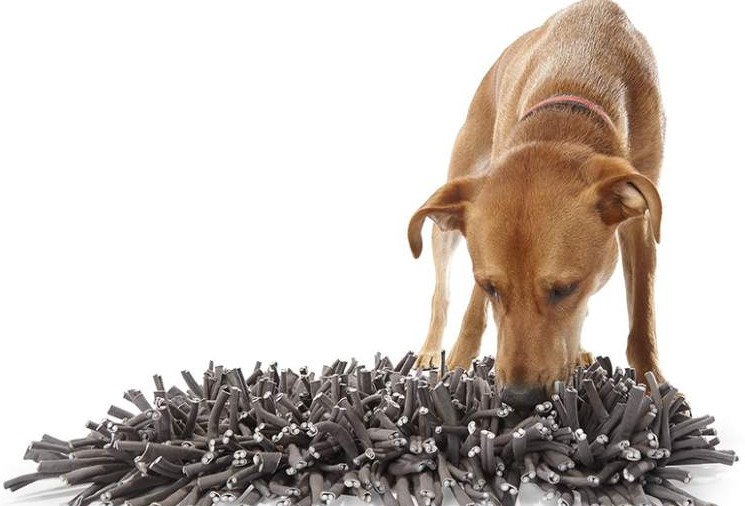 PAW5 Wooly Snuffle Mat