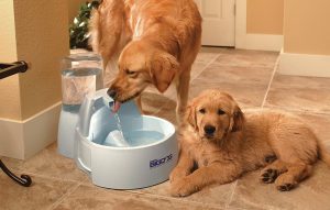 PetSafe Drinkwell Pagoda Dog and Cat Water Fountain