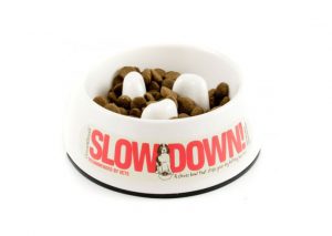 Simply Pets Online A-Maze-in-a-Bowl Slow Feed