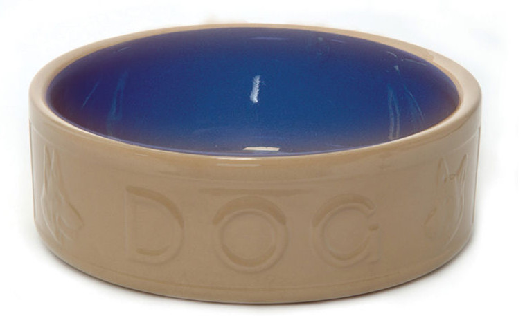 You Will Have No Reasons to Ignore These Ceramic Dog Food Bowls