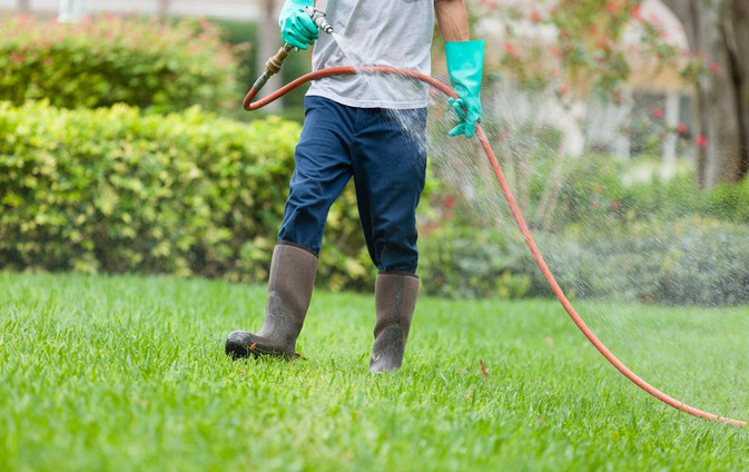 Natural-based flea and tick spray for yard