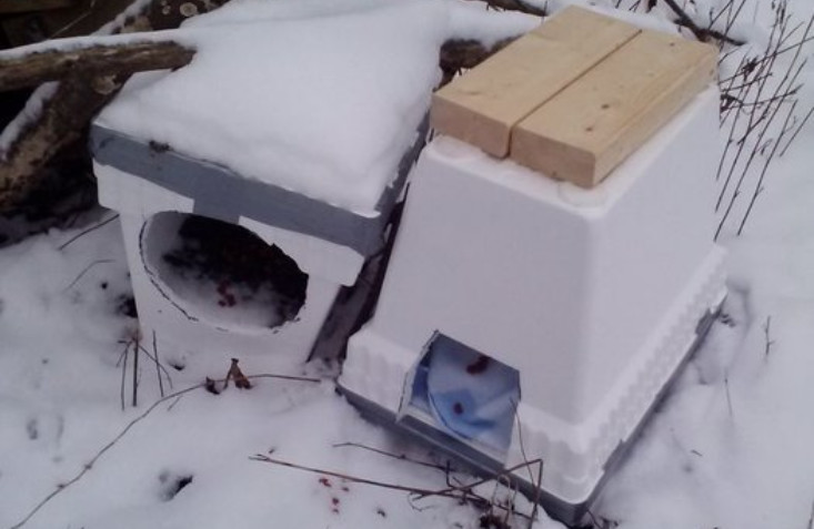 Feral Cat Shelter Styrofoam Cooler, a Weapon for Cat Hero