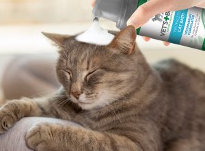 Considering the Appropriate Cat Shampoo for Dandruff