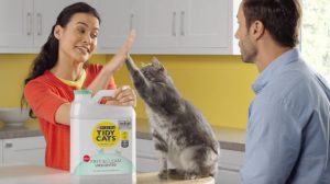 Tidy Cats Litter Lightweight Variations and what is So Good about It