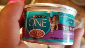 Purina One Cat Food Coupon and How to Save Money on Your Cat Food