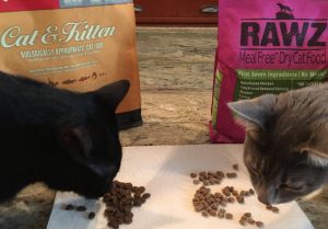 Rawz Cat Food Reviews and Reasons Why You Need to Make a Purchase