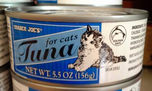 The Trader Joe's Cat Food Products and the Details as Your References