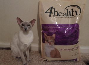 What to Look for 4health Cat Food Ingredients