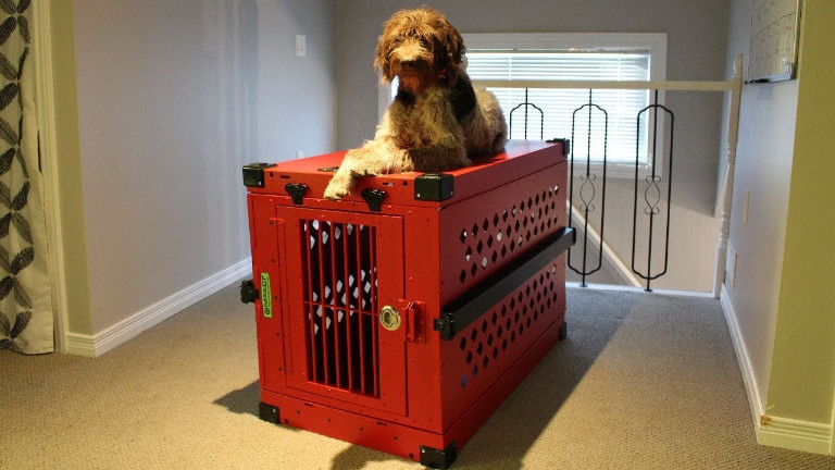 What to Know about Anxiety Dog Crate Before Making a Purchase