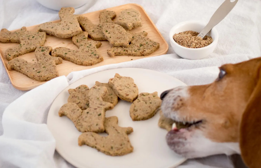 Homemade Dog Breath Freshener