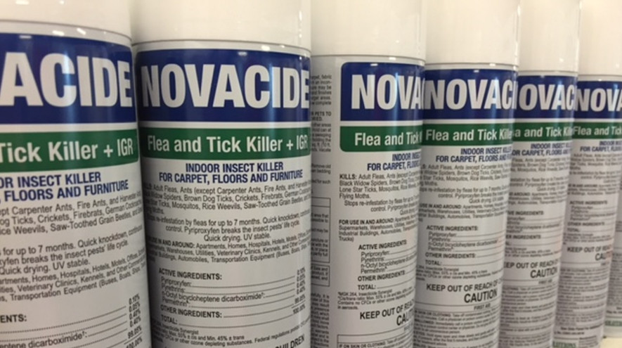 Novacide Flea & Tick Killer and the Reasons Why Dog Owners Need to Buy It 2