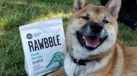 Rawbble Dog Food with Raw Ingredients for Healthy Nutrition