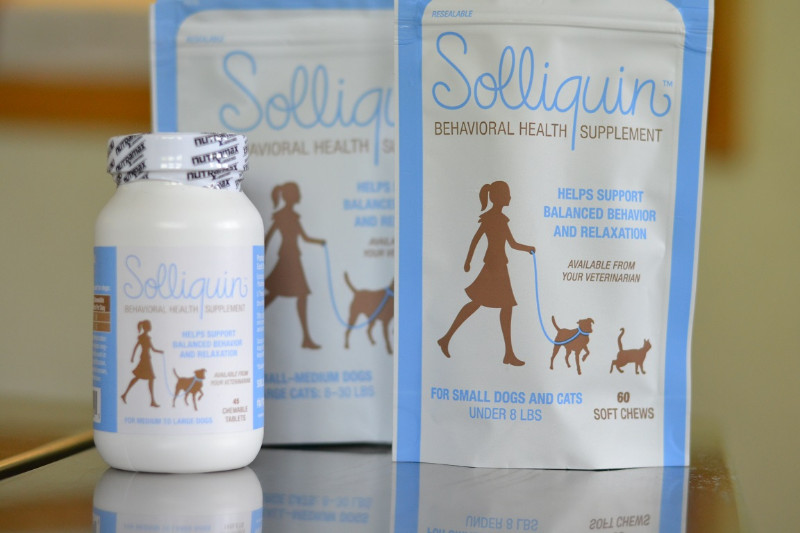 Solliquin for Cats to Make Them Healthy Physically and Mentally