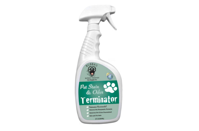 Enzyme Cleaners for Dog Urine, the Must-Try Products to Stop the Stink