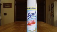 Does Lysol Kill Fleas