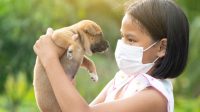 Is Kennel Cough Contagious to Humans