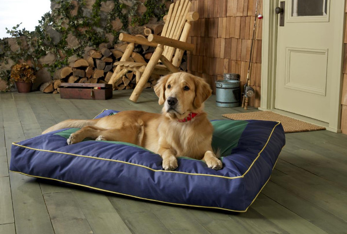 Recommendation of Beds for Arthritic Dogs