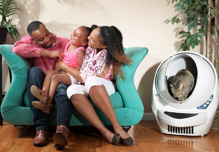 litter box that cleans itself 2