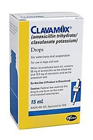 Can I Give Clavamox without Vet Prescriptions to My Dogs