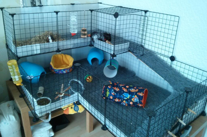 guinea-pig-cage-makeover-how-to-build-a-c-c-cage-youtube