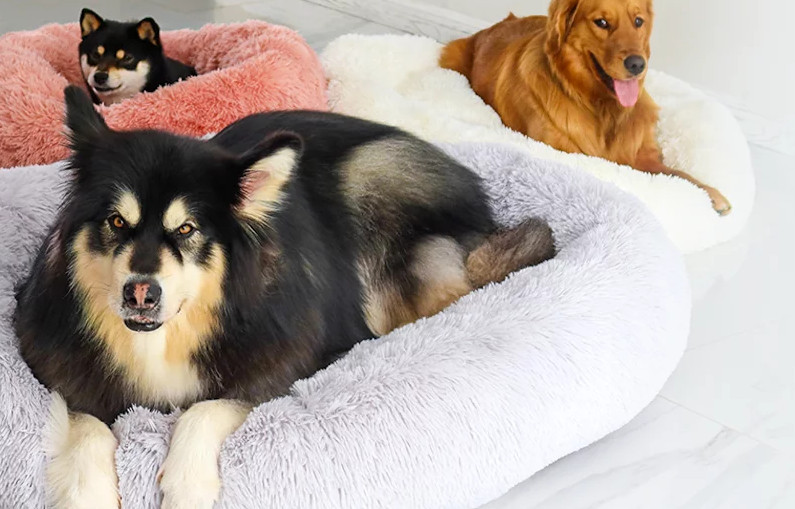 Abbyspace Calming Bed, a Good Choice for Your Beloved Furry Friend